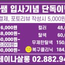 레이나살롱