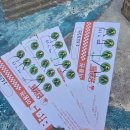 (유)여수자동차공업사 | [여수여행]여수 놀거리_유월드 루지 테마파크