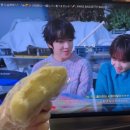 담시온 이미지