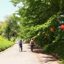 창원 비음산(510m) 이미지