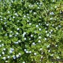 햇살노래연습장 이미지