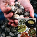 삼풍상회 이미지