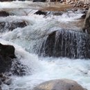 지리산 단풍비 이미지