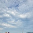 수도 한우목장 이미지