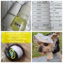 강아지 안과 진료 비용, 백내장, 결막염 후기, 옵타낙 브로낙 안약 처방) 병원에서 눈적출한 강아지...