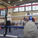 스파르타복싱체육관 이미지