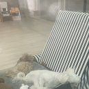 놀멍쉬멍고르멍 이미지