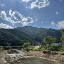 유명산목장 이미지