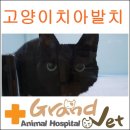 와니동물병원 이미지