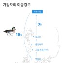 가창축산