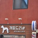 개등드리# 이미지