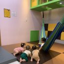 헬로방방 키즈카페 이미지