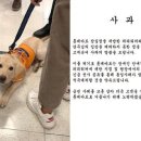 롯데마트입구 이미지