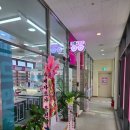 안경, 봄날 | 산성역 안경 가성비 훌륭한 으뜸플러스안경 성남산성역점