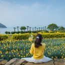 공곶이가는길 이미지