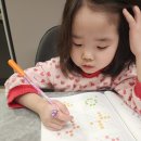 성대 | 2026년 초1 성대경시 후기 (꿀팁 뭐이런거 아니고 인생의 희노애락 녹여놓음 ㅋ)