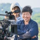 포레스트 이미지