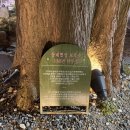 소원별장 이미지