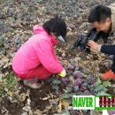 청룡농장 이미지