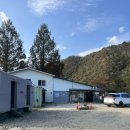 홍천강변 | 홍천 보리울캠핑장 후기 예약 없이 가도 되는 강변 노지캠핑