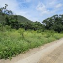 강화조아공인중개사사무소 이미지