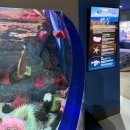 ㈜대양환경 | 제주도 가볼만한곳 아쿠아플라넷 제주 후기