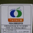 추석사과 ㅡ 홍로와 홍옥 이미지