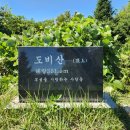 서산 도비산 정상 둘레길 | 부석사 등산 해넘이전망대 하산