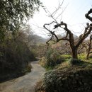 창원 최윤덕 유허지 이미지