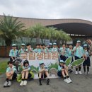 스카우트 그루터기 네이버블로그