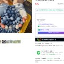 청산 블루베리 이미지