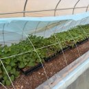 김포시농업기술센터 이미지