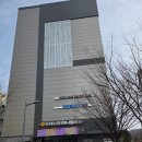 유성농업협동조합 | 대전 빵집 '하레 하레 유성점' 내 돈 내산 방문 후기