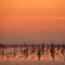 섬을찾는사람들 이미지