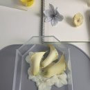전주우아하우스 | 전주 부케말리기 허밍블리스 제작 후기 : 레진 액자(부케 하우스)