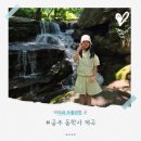 공주 동학사 계곡 주차 , 투썸플레이스 카페 물놀이