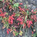 춘천예현병원 이미지