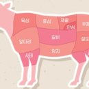 점육정 - 6612 | 점육정