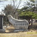 진산자연휴양림 이미지