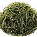 해맑은바다 이미지