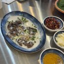 더하운드반달섬2 | 안산횟집 어촌계1번지 모둠회 산낙지 푸짐한 반달섬맛집