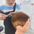 양지헤어 - 창원시 의창구 의창대로261번길 24 | 양지헤어