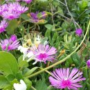 대보 초등학교 이미지