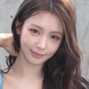 씨네트코리아 얼루어코리아