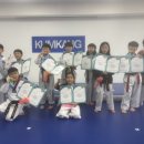 금강태권도 파워점핑 이미지