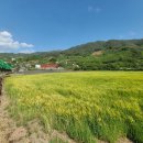 화개중학교 이미지