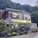 [의령 가볼만한곳] 밤하늘의 별과 수국 향기에 취한 밤, 마음산책 카페 '의령수국 음악회' 후기