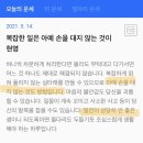 번쩍피자 이미지