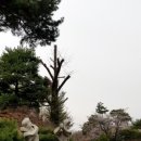 일산스프링힐스CC 이미지