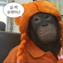 감전초등학교 이미지